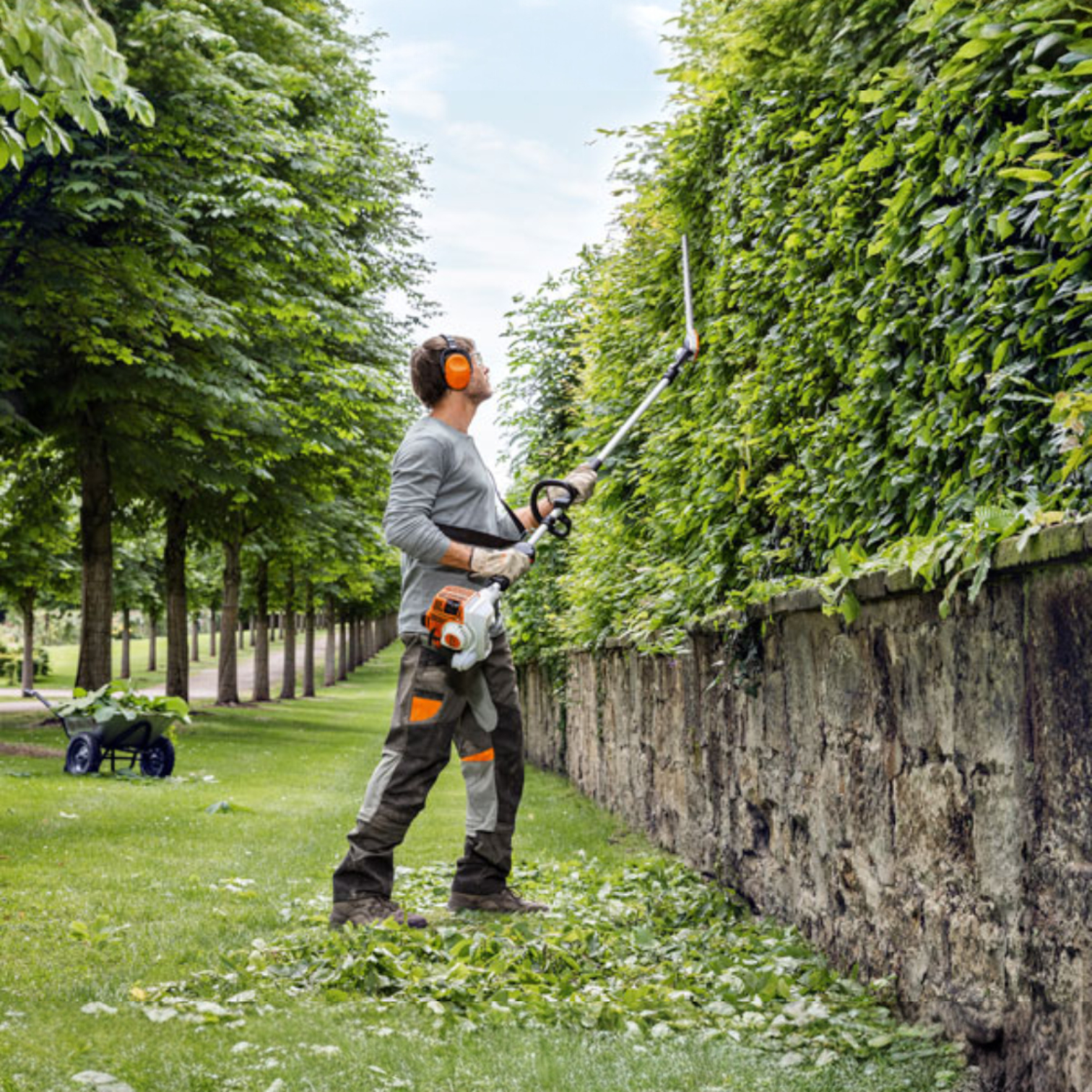 Garden & Landscaping